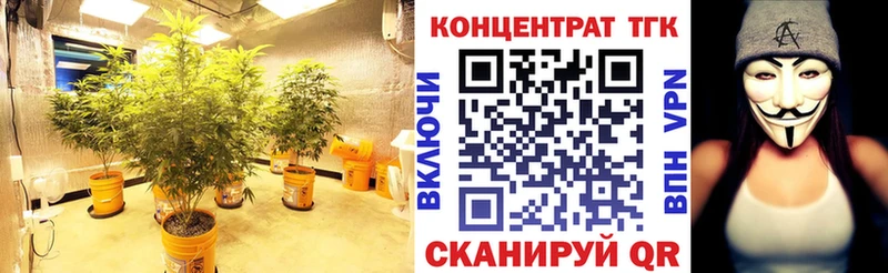 ТГК жижа  Лыткарино 