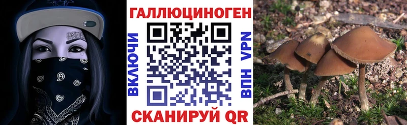 купить наркоту Лыткарино Псилоцибиновые грибы Cubensis